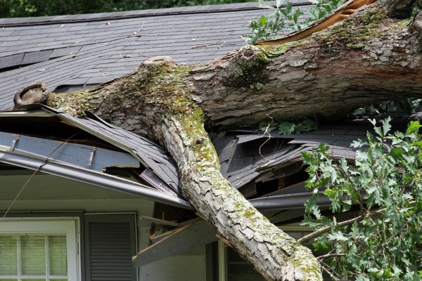 Storm Remediation in Mechanicsburg