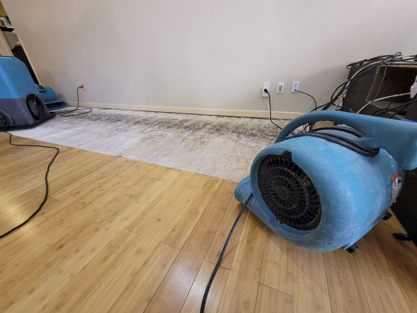 Water Damage Mitigation in Mechanicsburg