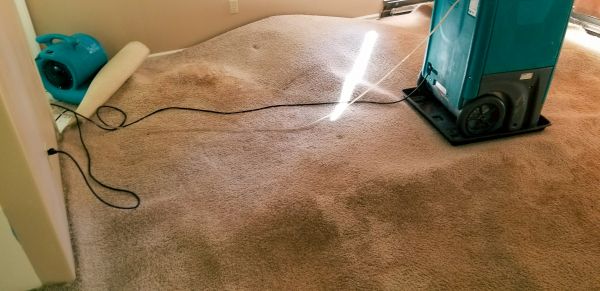 Cost of Carpet Water Extraction in Mechanicsburg