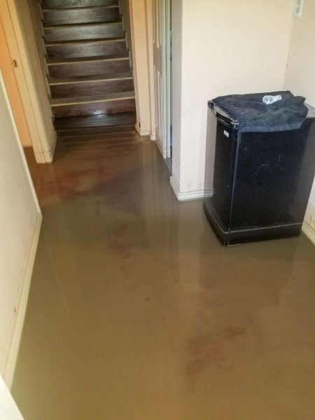 Cost of Emergency Water Removal in Mechanicsburg