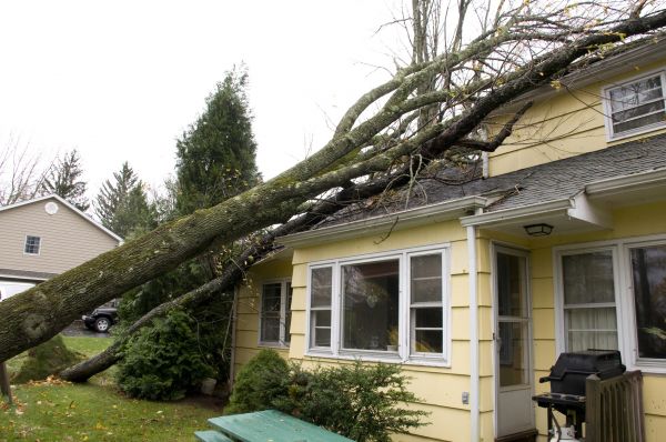Hurricane Damage Repair in Mechanicsburg