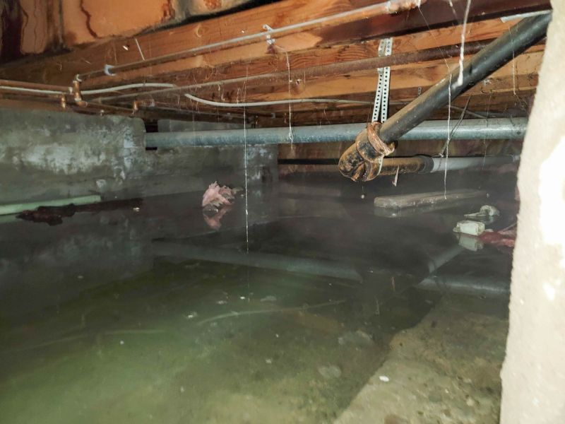 Water Damage Remediation